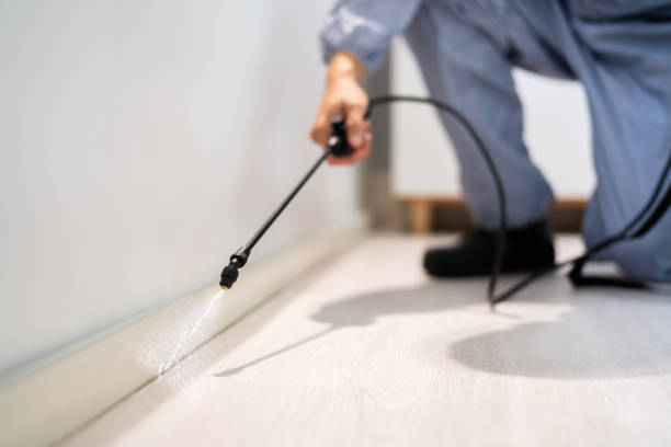 Professional exterminator conducting IPM assessment in Bear Creek