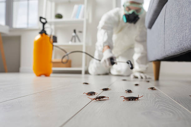 Commercial Kitchen Cockroach Control in Bear Creek